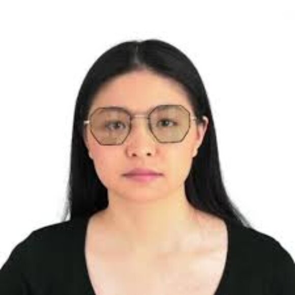 Oliver People Holender Brushed Gold/Tortoise - Picture 2 of 3